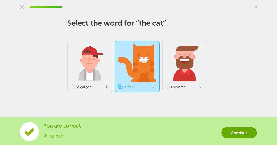 is duolingo safe