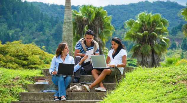 Summer internship websites
