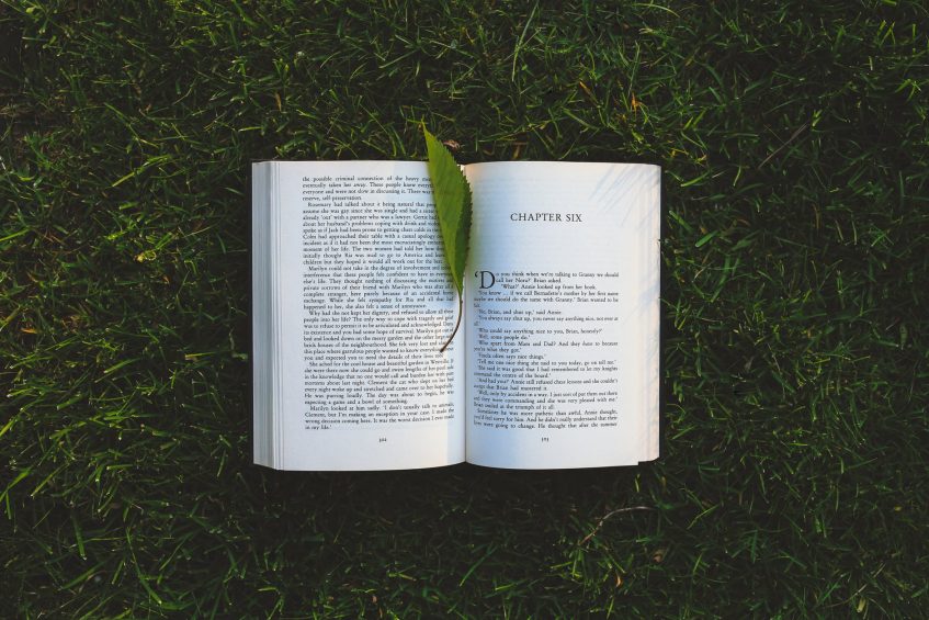 an opened book lying on the grass