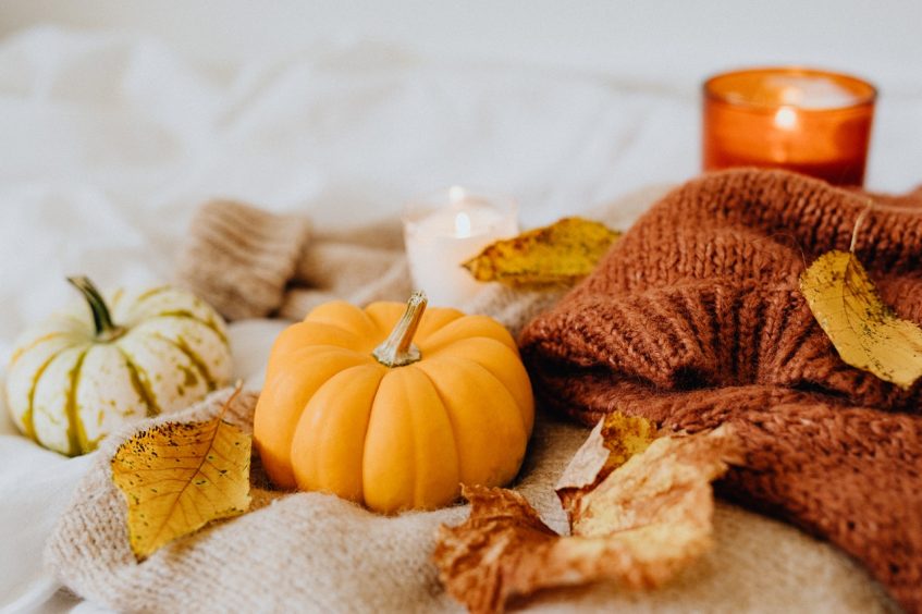 a pumpkin and fall leaves