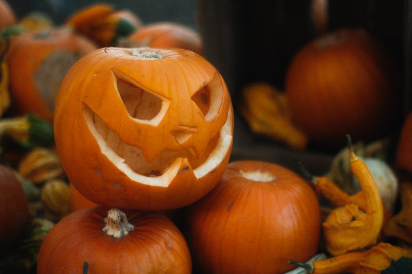 carved pumpkins