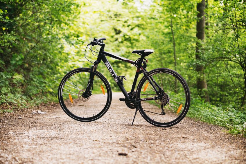 a bike in the forest