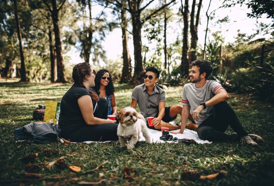 four friends having a picnic